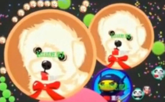 球球大作戰(zhàn)刷體重教學(xué)視頻 體重怎么刷