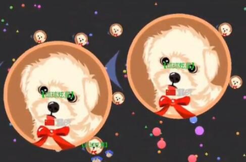 球球大作戰(zhàn)全球歷史最高體重視頻 超級霸屏行動(dòng)