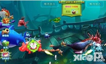 獵魚達人紅包魚擊殺技巧解析 紅包魚怎么擊殺