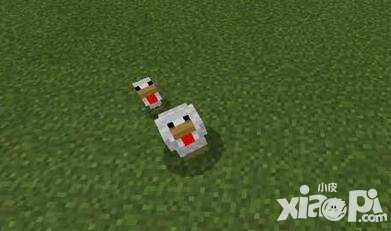 我的世界養(yǎng)雞攻略 養(yǎng)雞技巧解析