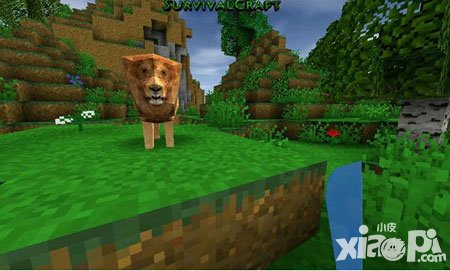 生存戰(zhàn)爭手機(jī)版怎么聯(lián)機(jī) 聯(lián)機(jī)方法是什么