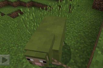 我的世界七彩羊生成方法介紹 七彩羊怎么得