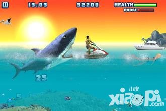 饑餓的鯊魚進化海面上的球有什么作用