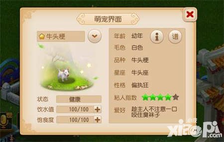 夢幻西游手游全新萌寵來襲 家園又添新成員