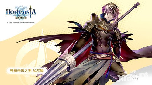 蒼之騎士團常用專業(yè)術(shù)語解釋 新人必看指南