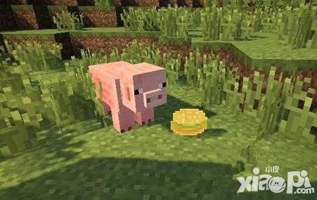 我的世界常見食物獲得方式解析 常見食物有哪些