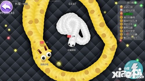 蛇蛇大作戰(zhàn)段位賽來(lái)襲 蛇中王者共爭(zhēng)霸