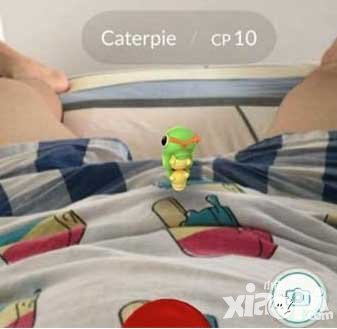 pokemongo引進ar技術(shù) 上線即被玩懷