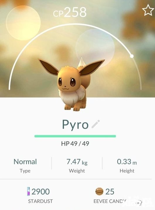 口袋妖怪GO開發(fā)商CEO公布彩蛋 伊布進化形態(tài)由名字決定