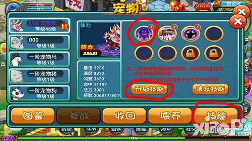 《十二生肖》寵物技能學(xué)習(xí)和升級(jí) 空余技能槽不能少