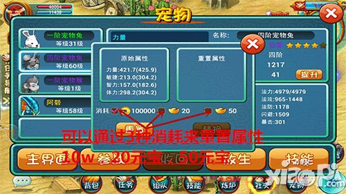 《十二生肖》寵物寶寶養(yǎng)成大盤點 神獸你知多少