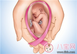 備孕首先應(yīng)該了解什么？宮頸黏液和排卵期是什么？