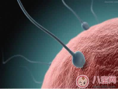 備孕不成功原因多  求助醫(yī)生來(lái)幫忙