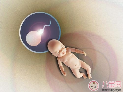 備孕不成功原因多  求助醫(yī)生來(lái)幫忙