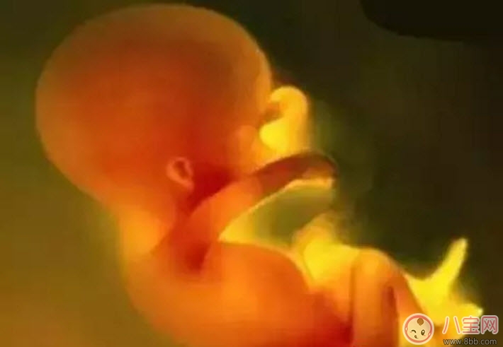 2017立秋后備孕怎么樣 立秋后備孕的好處有哪些