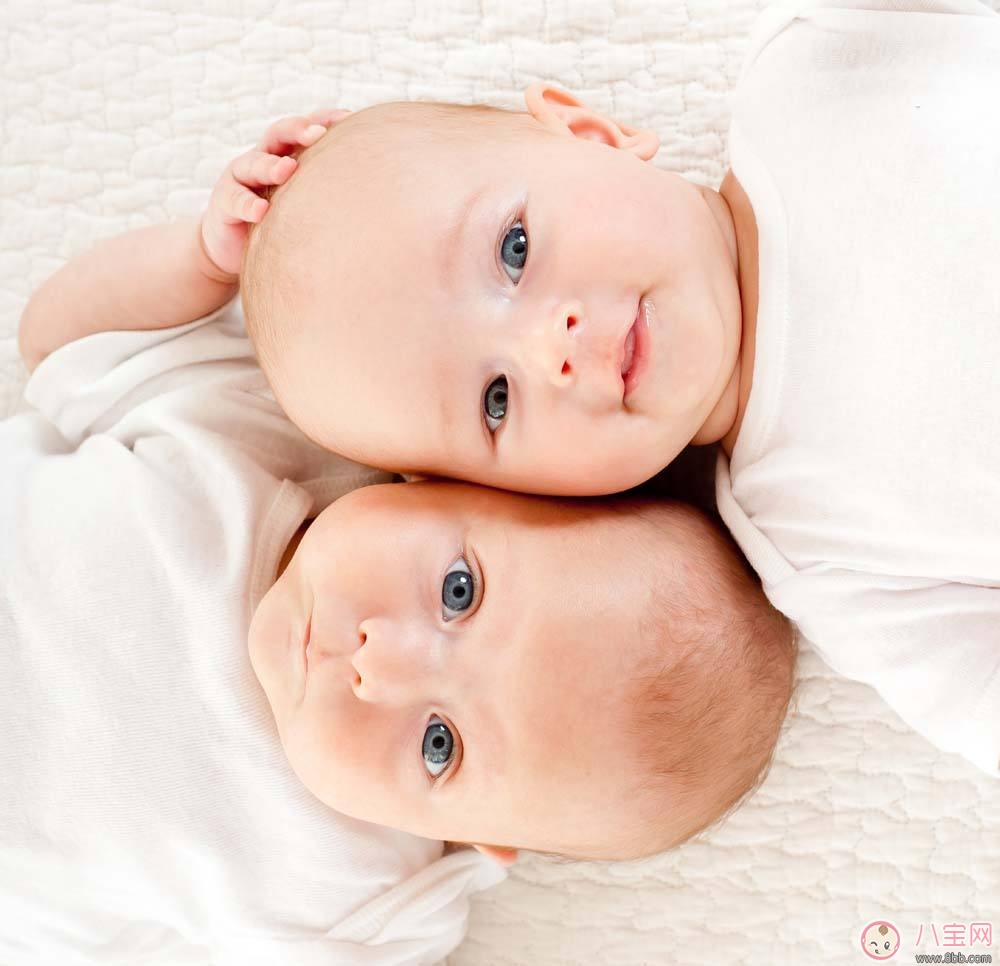 林志穎再添一對(duì)雙胞胎兒子  如何容易生雙胞胎