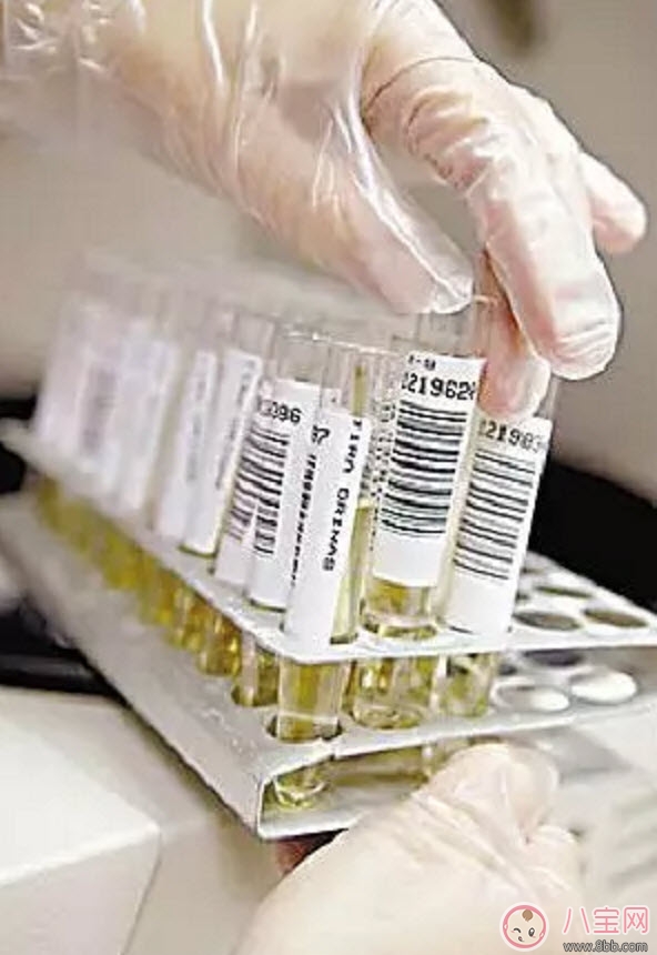 進(jìn)行驗(yàn)孕前應(yīng)該知道哪些常識性問題 可能你還不知道