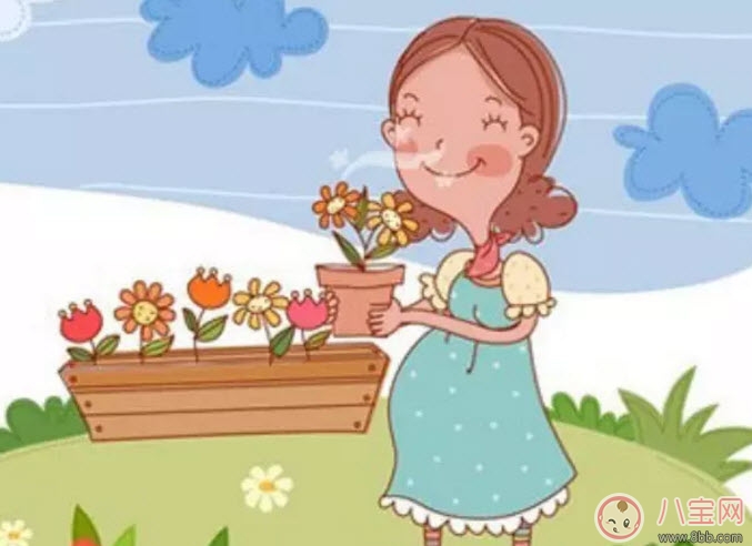 孕婦不能養(yǎng)什么花草 孕婦適合養(yǎng)哪些花草(適合孕婦養(yǎng)的花草名單)