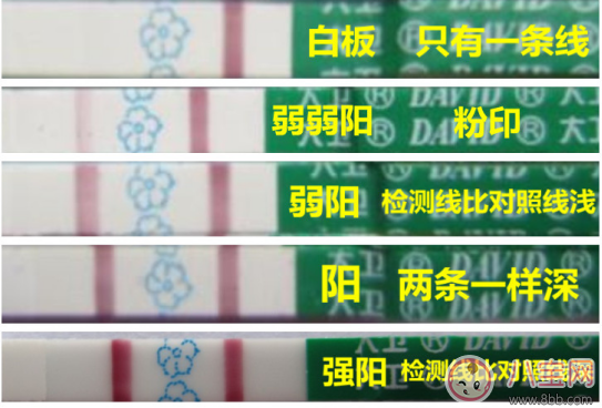 測卵紙二條紅線是不是可以懷上 備孕測排卵的方法