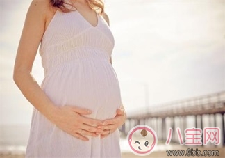 想懷孕吃什么好    容易懷孕的食物推薦