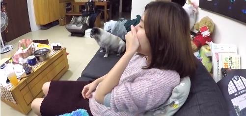 丈夫用鏡頭記錄妻子懷孕十個月 網(wǎng)友直呼這大概就是幸福的樣子吧