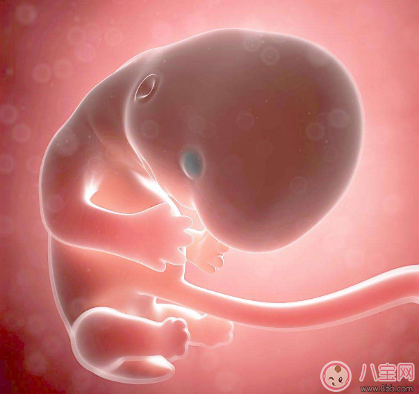 懷孕不想被側(cè)切怎么辦 不想側(cè)切準(zhǔn)備工作