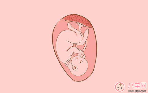 分娩是選順產(chǎn)還是剖腹產(chǎn) 醫(yī)生往往會(huì)參考這些數(shù)據(jù)