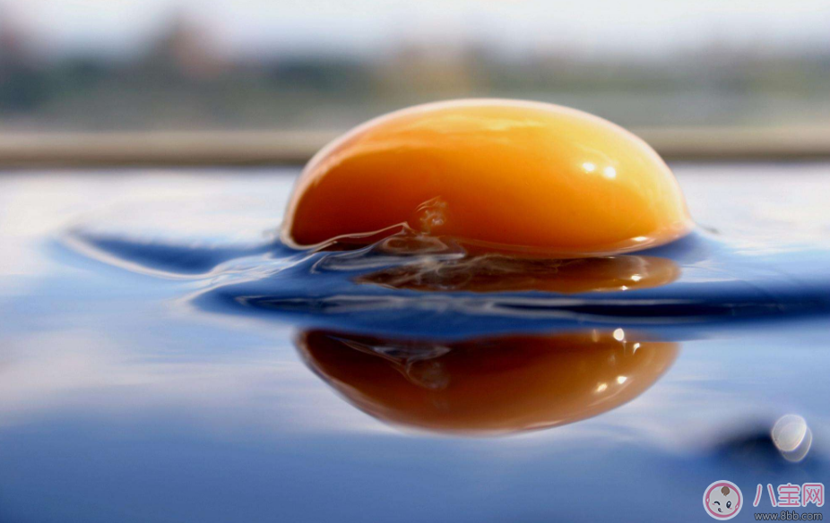 懷孕雞蛋別亂吃 這樣補充才最健康