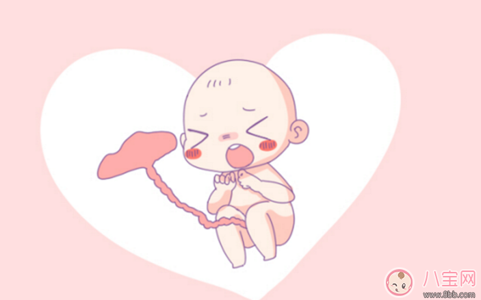 扎心了老鐵沒鐵了 準媽媽補鐵這么做效率高