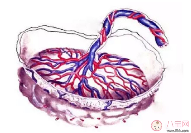 孕晚期胎盤老化能順產(chǎn)嗎 胎盤三級(jí)必須剖腹產(chǎn)嗎