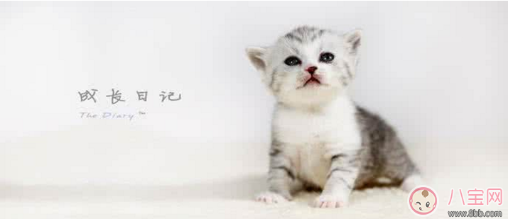 懷孕時有哪些事情做了才不會覺得遺憾 不知道就等著后悔吧