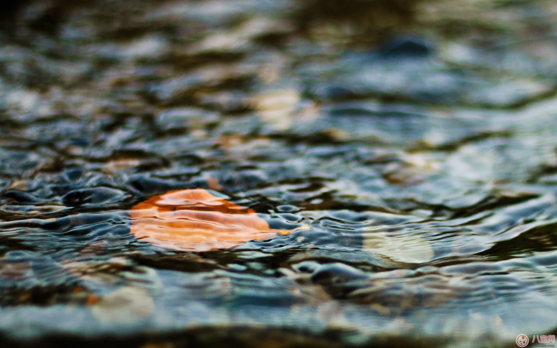 秋季孕期身體乏力的原因及應對方法