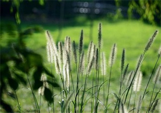 秋天懷孕好不好 最適合懷孕的季節(jié)推薦