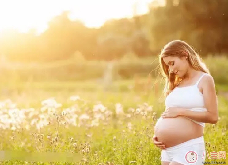 孕婦曬太陽的最佳時間 孕婦曬太陽的最佳位置(曬肚子)