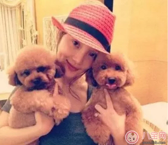 養(yǎng)寵物的孕婦應(yīng)該做哪些檢查 為什么明星懷孕了能養(yǎng)寵物