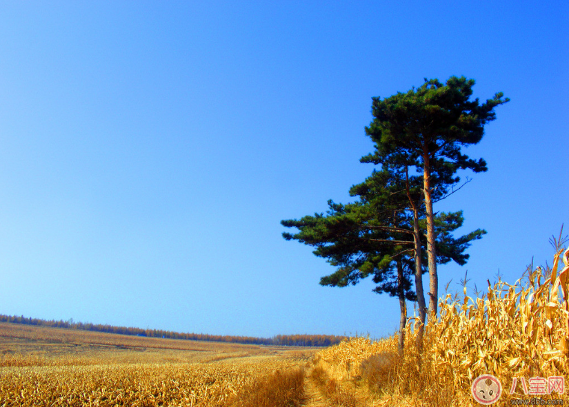 秋天準(zhǔn)媽媽怎么吃好 準(zhǔn)媽媽秋季如何進(jìn)補(bǔ)