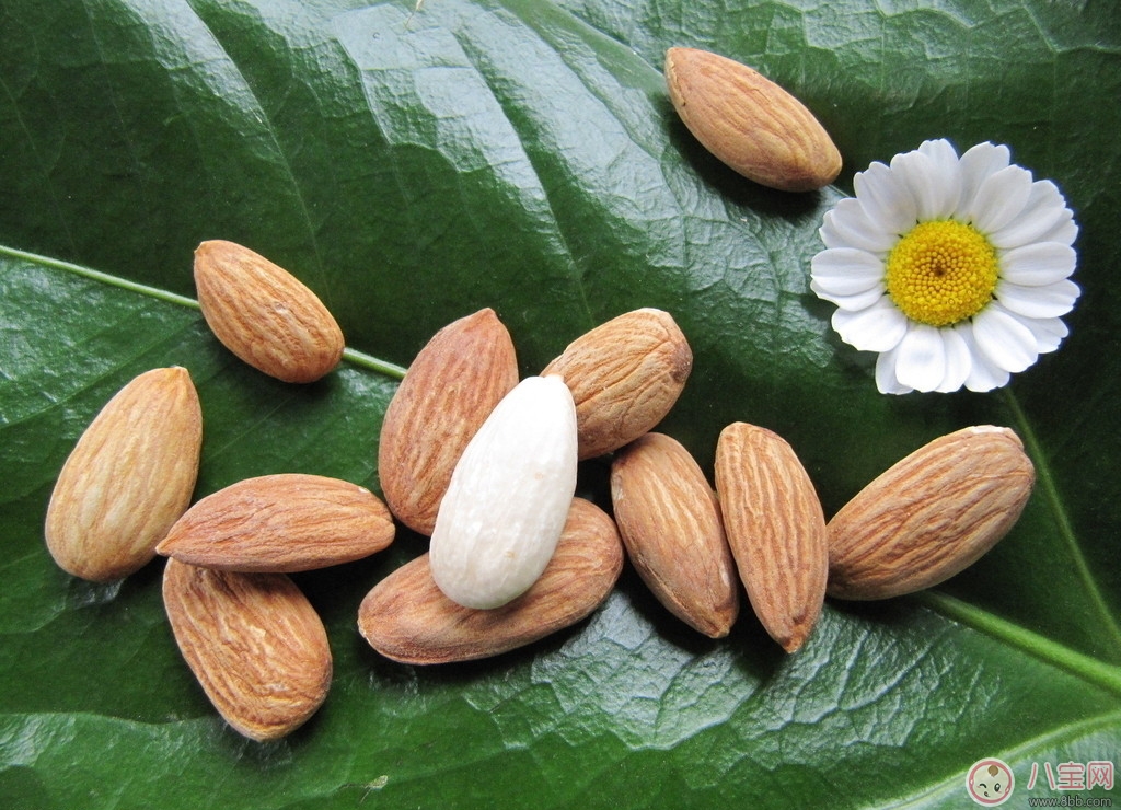 孕期吃杏仁好處多 吃杏仁要注意