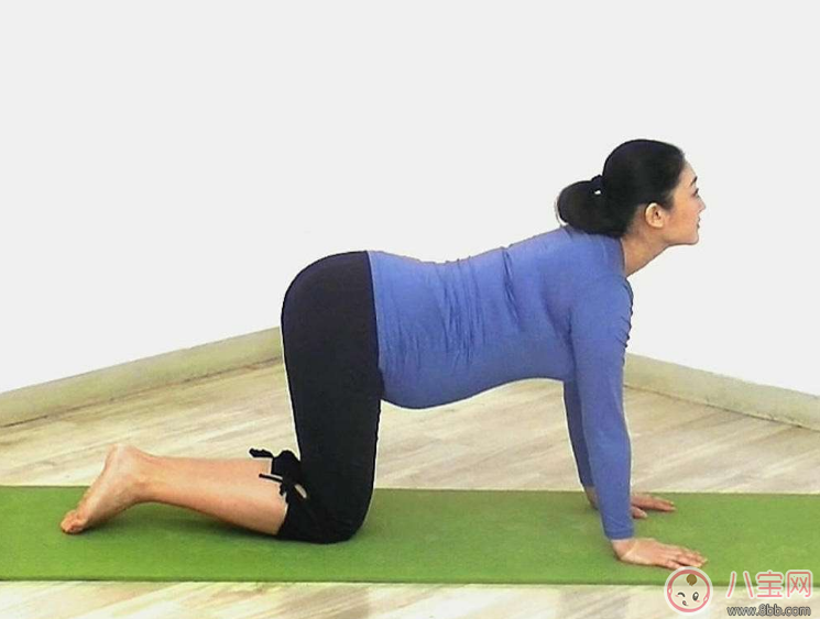 懷孕不提重物好不好 懷孕的時(shí)候什么運(yùn)動(dòng)都不能做嗎