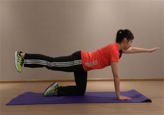 懷孕不提重物好不好 懷孕的時(shí)候什么運(yùn)動都不能做嗎