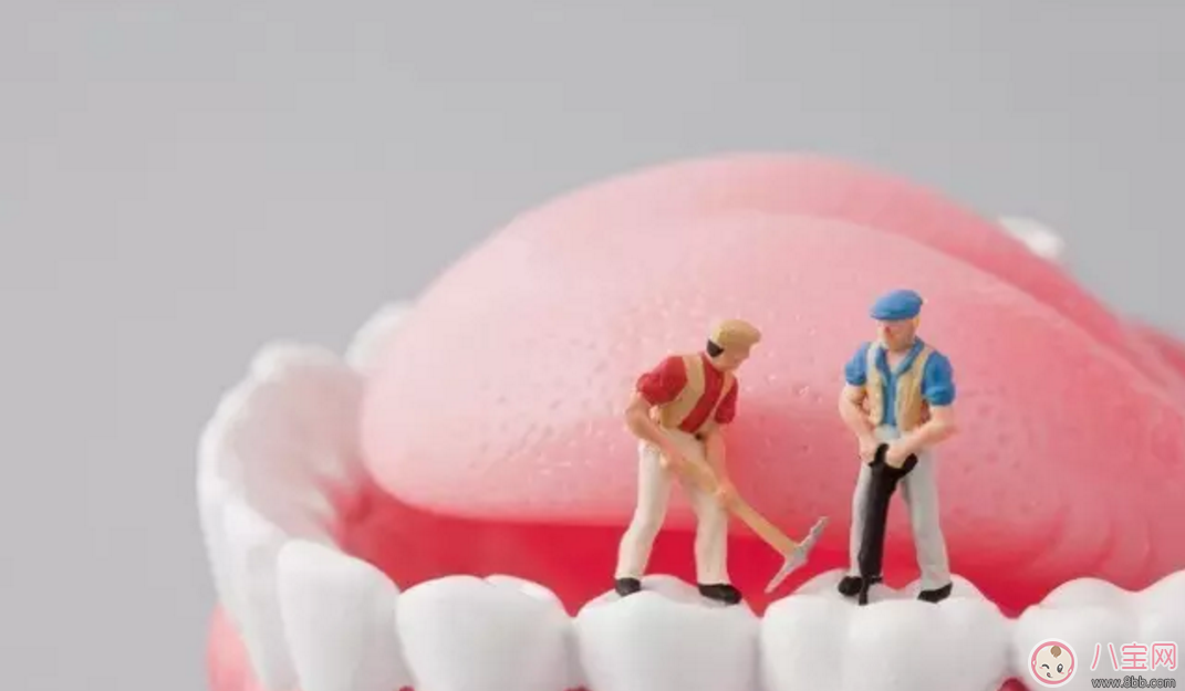 孕期牙齦出血 如何自己保健恢復(fù)