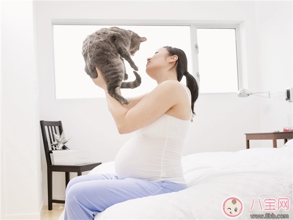 孕期家里有寵物怎么辦 孕期養(yǎng)寵物注意事項