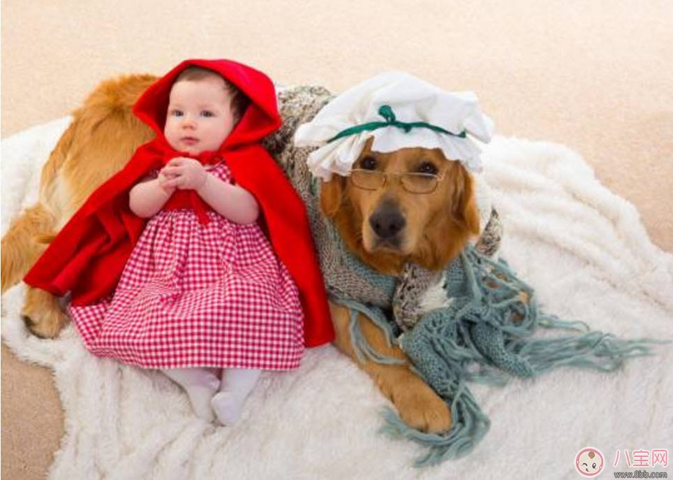 孕期家里有寵物怎么辦 孕期養(yǎng)寵物注意事項