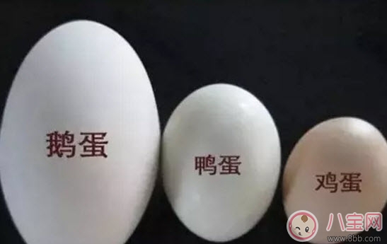 孕婦孕晚期吃鵝蛋排胎毒是真的嗎 吃什么去胎毒