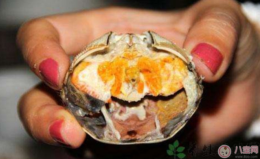 孕婦能吃螃蟹嗎 孕婦吃螃蟹會(huì)流產(chǎn)嗎(孕婦吃螃蟹注意事項(xiàng))