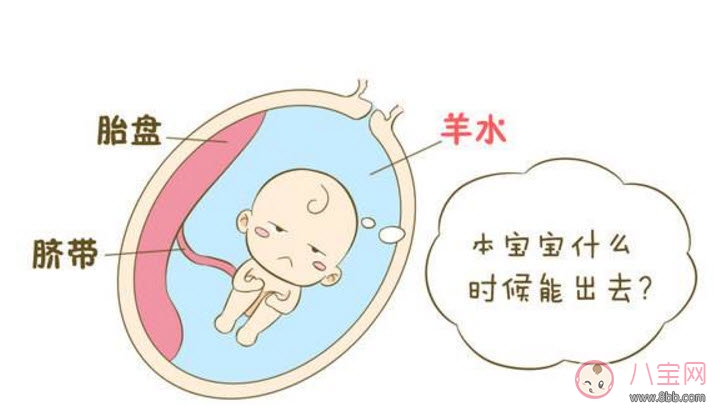 孕晚期羊水過多怎么辦 羊水過多的原因