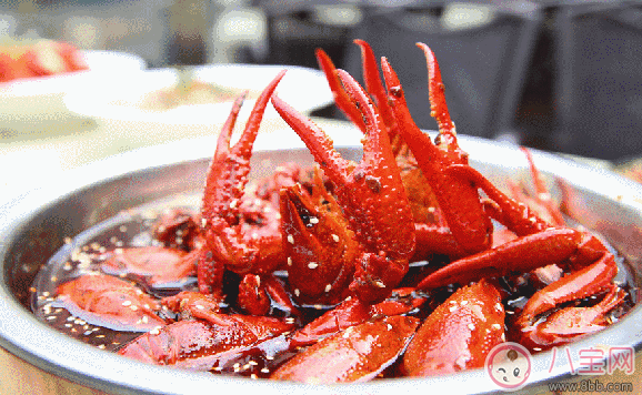 孕婦中期能吃小龍蝦嗎 孕婦中期吃了小龍蝦怎么辦