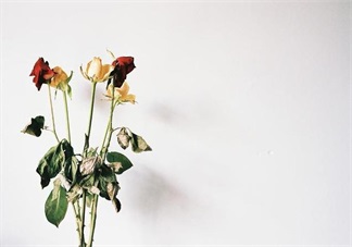 懷孕孕酮低 莫方,看看這些來(lái)調(diào)整