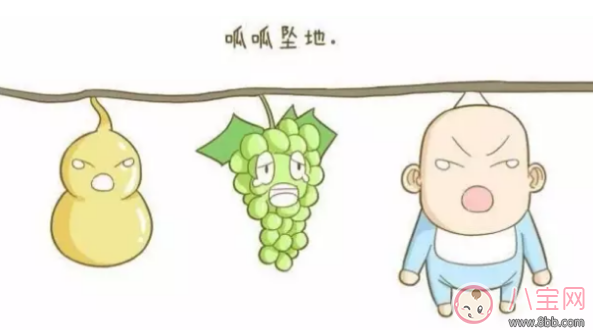 生產(chǎn)后的寶寶出生后去哪了    寶寶出生后就被抱走是為什么