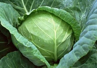 懷孕后胃脹是怎么回事 懷孕期間胃脹氣怎么辦呢