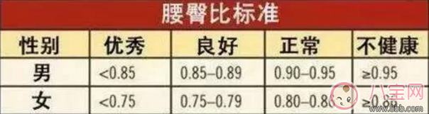 柯基臀是什么 李菲兒柯基臀怎么練出來的